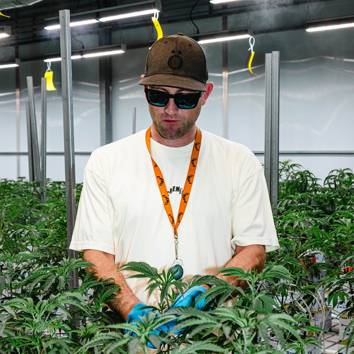 Nostalgia Short Sleeve