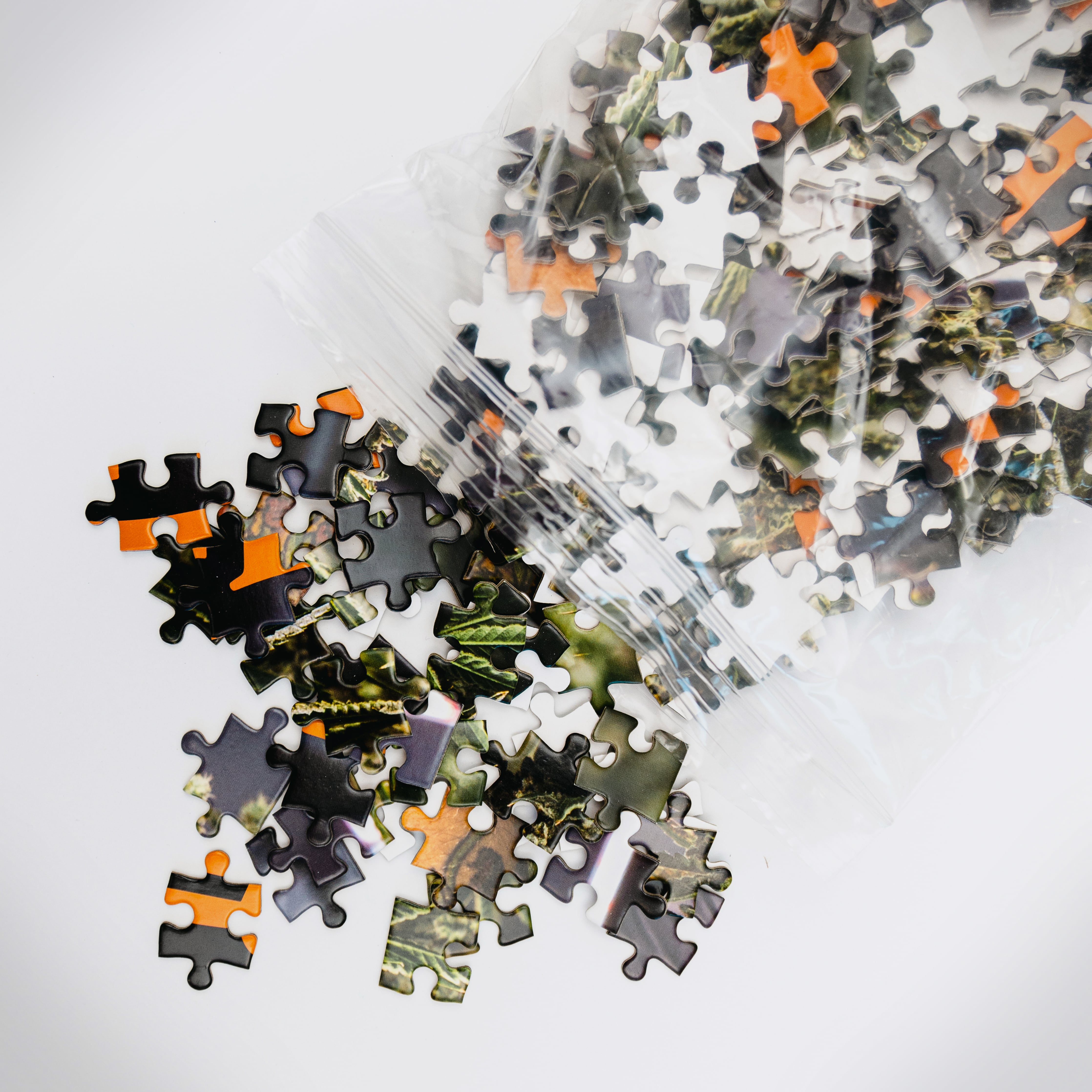 very difficult puzzle – Carmel Pharms Corp.